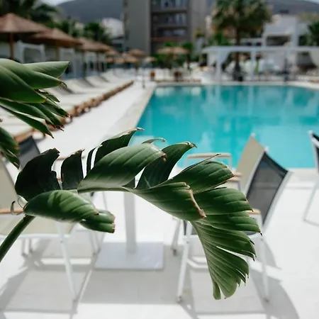 4Br Newly Renovated Retreat Tranquil Coastal Haven Hersonissos (Crete)